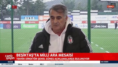 >Şenol Güneş'ten Dele Alli sözleri! 