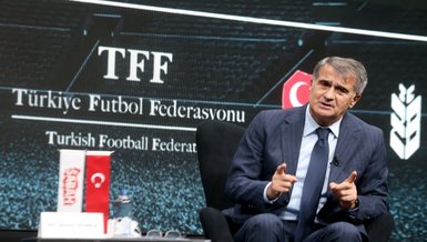 Şenol Güneş: Herkes TL kazanmalı