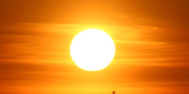 d vitamini hangi besinlerde bulunur d