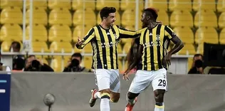 Ozan tazminatı