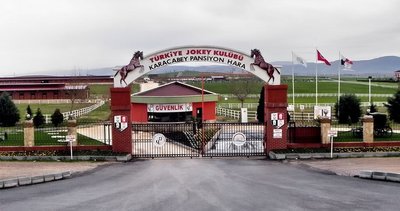 Türkiye Jokey Kulübünün safkan İngiliz atları basına tanıtıldı
