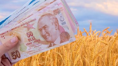 BUĞDAY ALIM FİYATI 2023 | TMO 1 ton buğday alım fiyatı ne kadar oldu? - 2023 buğday, arpa taban fiyatları