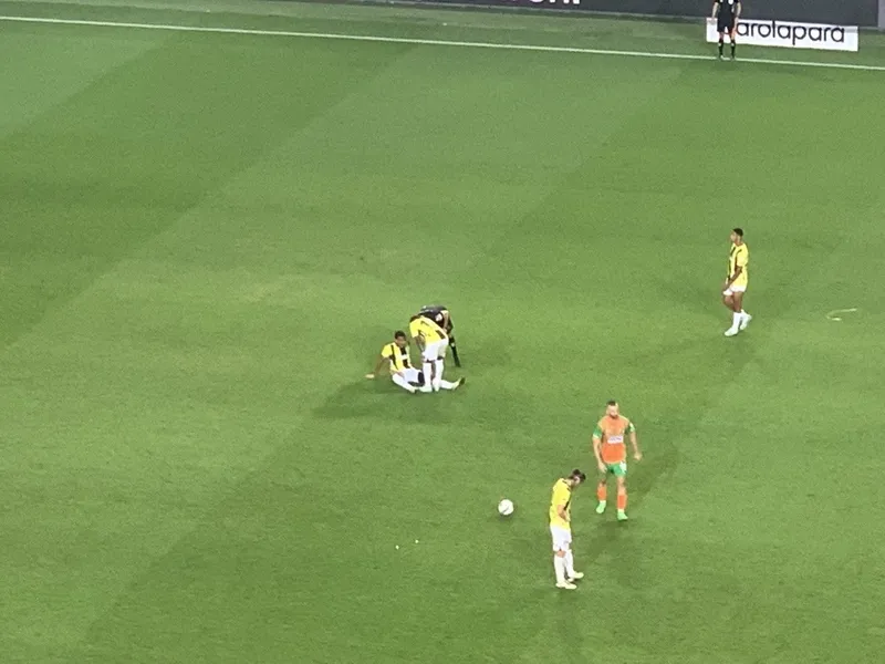 fenerbahcede-sakatlik-soku-djiku-oyuna-devam-edemedi-1725046283544.jpg