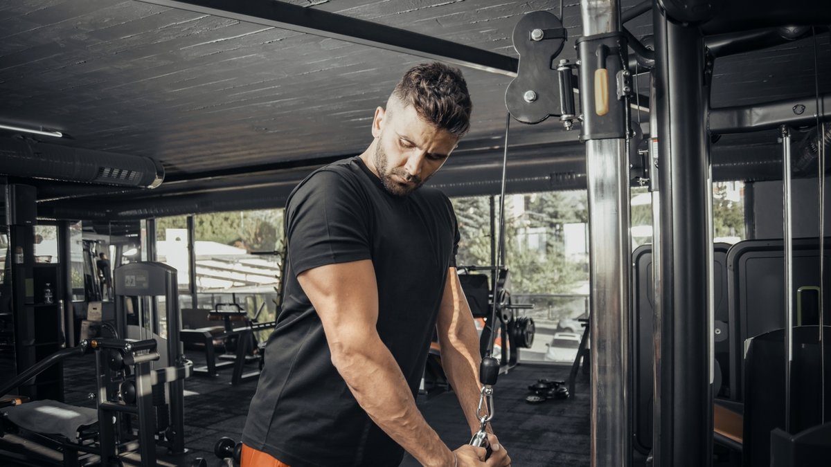 Triceps hareketleri | İZLE
