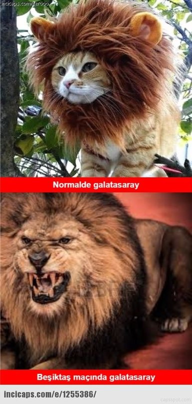 G.Saray-Beşiktaş caps’leri
