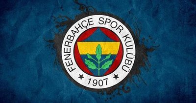 Fenerbahçe'de stoper adayları belli: Martins Indi, Kara Mbodj ve Mateo Musacchio