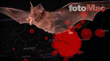 Son dakika corona virüsü haberleri: İlk kez orada ortaya çıkmıştı! Çinli uzmandan açıklama: Birkaç gün içinde...