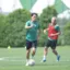 Konyaspor Slovenya'da kamp yapacak