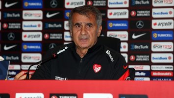 Şenol Güneş: Sahip çıkılmalı