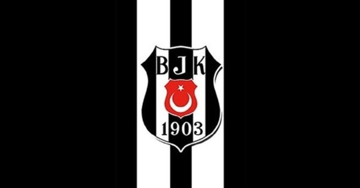 besiktas tan bir tasla iki kus vida nin yerine fotomac