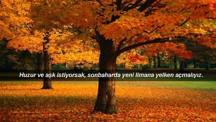 ekim-ayi-sozleri-2023-sonbahar-ekim-ayi-resimli-mesajlari-facebook-whatsapp-instagram-1696059175501.jpeg