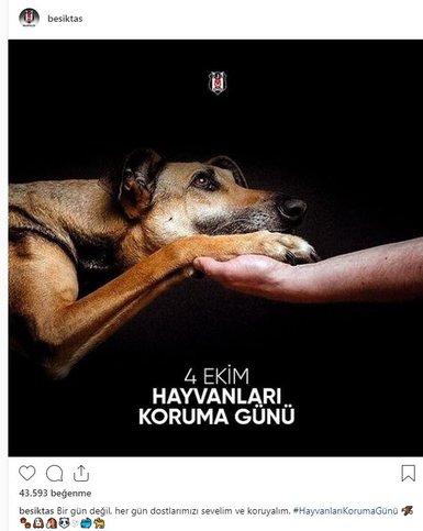 Beşiktaş’tan hayvanlar günü paylaşımı