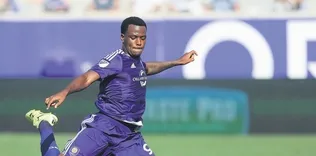 Larin hazır kıta