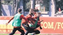 Aslan mola verdi
