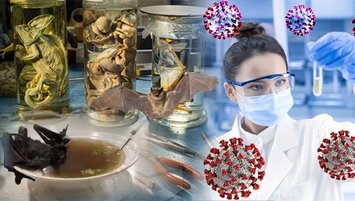 Çin için şaşırtan suçlama! Yok etme emri verilmiş...