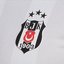 UEFA'dan Beşiktaş'a para cezası!