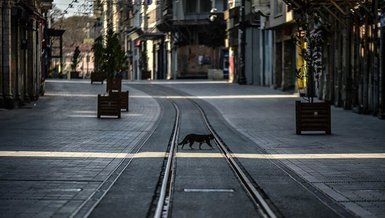 Son dakika haberleri: Valilikler açıkladı! 65 yaş üstü yasağı hangi illerde var? 65 yaş üstü sokağa çıkma yasağı olan iller hangileri? Hangi illerde sokağa çıkma yasağı var? İşte kısıtlama olan iller...