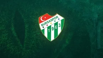 Timsah şov