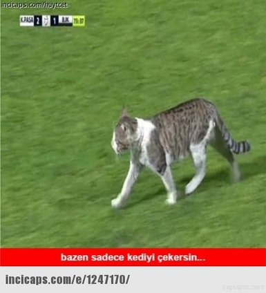 Kasımpaşa-Beşiktaş capsleri