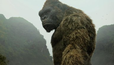 Kong: Kafatası Adası (Kong: Skull Island) filminin konusu ne? Kong filmi oyuncuları kimler? Kong: Kafatası Adası (Kong: Skull Island) film özeti