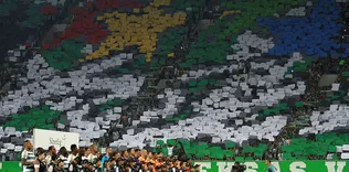 Yeşil duvar
