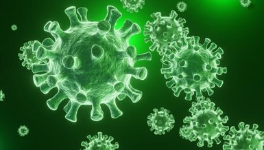 Son dakika spor haberi: Fatih Karagümrük'te Koray Altınay'ın corona virüsü testi pozitif çıktı