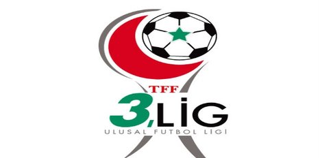 TFF 3. Lig 2. Grup'ta görünüm