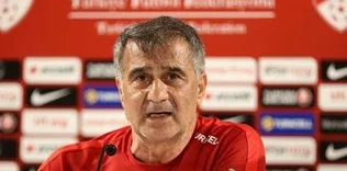 Bir Türk her işi başarır