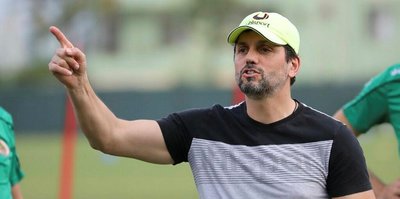 Alman disiplini