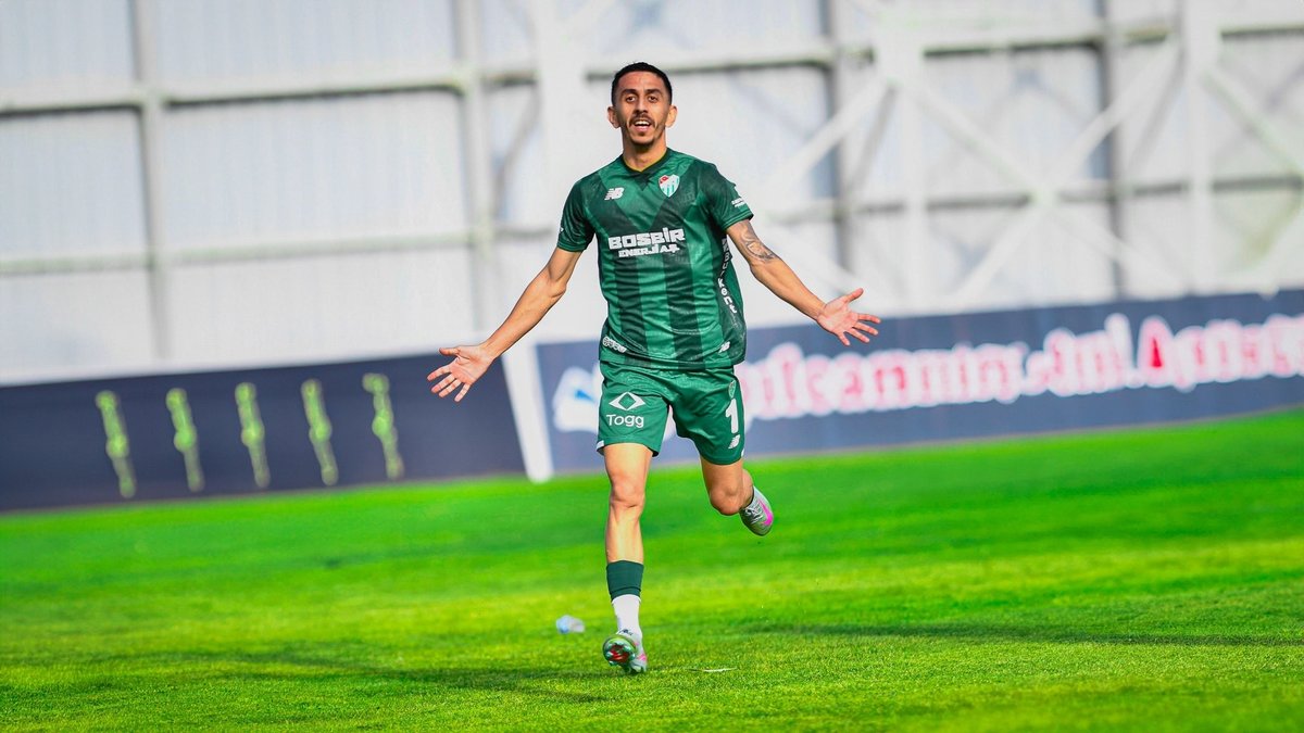 Bursa’da Çam şoku