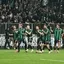 Sakarya doludizgin