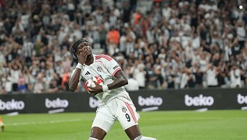 Küllerinden doğacak