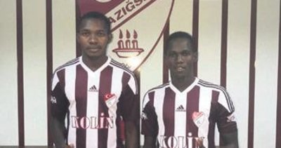 Gakgoşlar’da Afrika ateşi