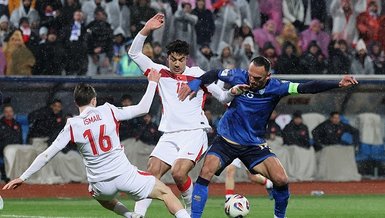 Savunma duvar ördü