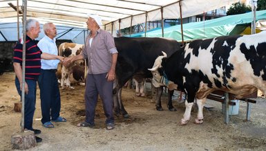 2022 KURBAN FİYATLARI | 2022 Büyükbaş ve küçükbaş kurbanlık fiyatları ne kadar, kaç TL? Diyanet 2022 kurban fiyatı belli oldu mu?