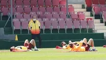 Aslan pürdikkat çalışıyor