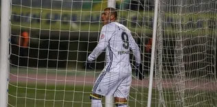 Ersun Yanal istedi