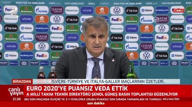 Şenol Güneş'ten İsviçre - Türkiye maçı sonrası açıklamalar