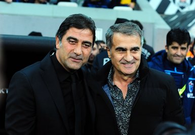 Şenol Güneş’ten Tolgay Arslan ve Fenerbahçe açıklaması!