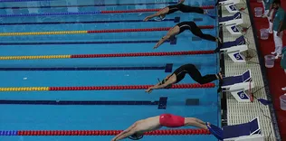 Paletli yüzmede 1 altın 1 bronz madalya
