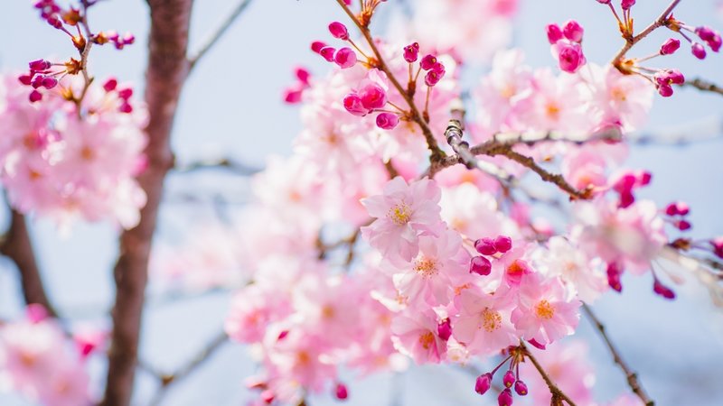 birinci-cemre-dustu-mu-ikinci-cemre-nereye-dusecek-cemre-dusme-tarihleri-1771757313367.jpg İkinci cemre ne zaman düşecek?