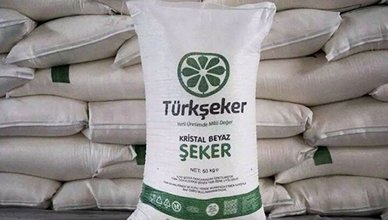 Türkşeker başvuru ekranı 2025 | Türkşeker 1685 personel alımı nasıl başvurulur? Başvuru şartları, açılan kadrolar