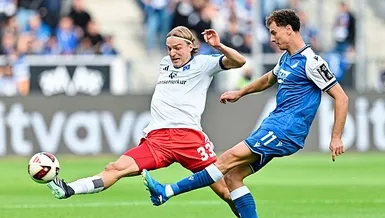 Hoffenheim tepetaklak