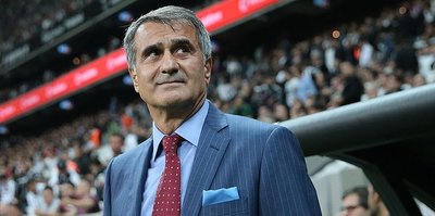 Gunes will not manage Turkish national team