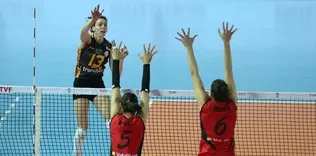 Dişi Aslan çok rahat