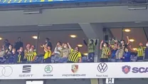 Görsel şölen
