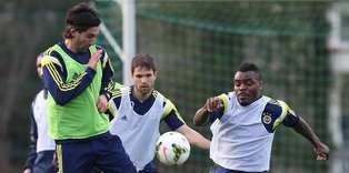 Kanarya'da rejenerasyon çalışması