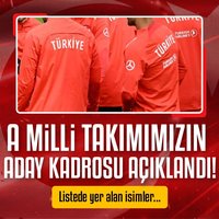 A Milli Takımımızın aday kadrosu belli oldu!