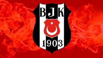 TBF'den Beşiktaş'a para cezası!