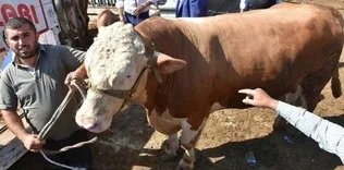15 bin 500 liraya alıcı buldu